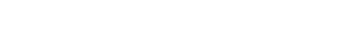 Bocc-logo-inicial-blanco